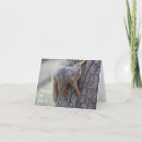 Buscar fotos divertidas la ardilla Ardilla que se aferra