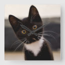 Buscar estados unidos relojes de pared Día