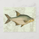 Buscar ocio postales Pesca