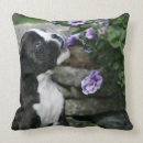 Buscar brindle cojines Foto