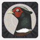 Buscar caza del faisán pegatinas Pájaro