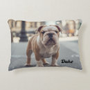 Buscar perro casero cojines General y unisex