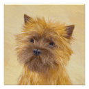 Buscar cairn terrier arte Perro