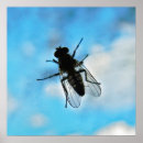 Buscar biológico arte Ciencia