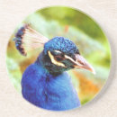 Buscar pavo posavasos Hermoso