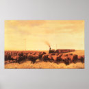 Buscar búfalo americano posters Occidente