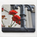 Buscar flores rojas alfombrillas de raton Rosa