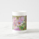 Buscar aster tazas Naturaleza