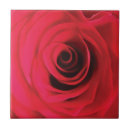 Buscar colores calientes azulejos Para todos