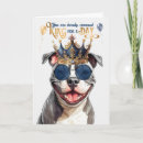Buscar staffordshire tarjetas Pitbull