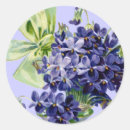 Buscar violets postales Gracias