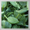 Buscar espinaca Comida