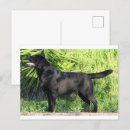 Buscar record postales Adorable