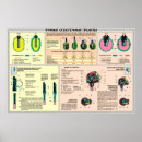 Buscar unión soviética posters Soviético