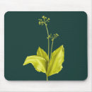 Buscar ajo alfombrillas de raton Botánico