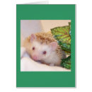 Buscar escondido postales Naturaleza