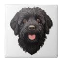 Buscar perro negro azulejos Cachorro