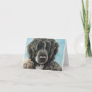 Buscar portugues tarjetas Cachorro