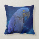 Buscar loros azules cojines Animales
