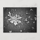 Buscar snowflake postales Copo de nieve