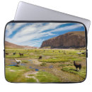 Buscar alpaca fundas Sudamérica