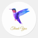Buscar colibrí pegatinas Moderno