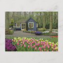 Buscar floristería postales Naturaleza