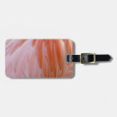 Buscar flamenco etiquetas para maletas Animal