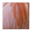 Buscar animal abstracto azulejos Naturaleza