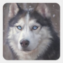 Buscar husky siberiano pegatinas Amante silencioso