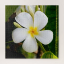 Buscar flor hawaiana puzzles Plumeria