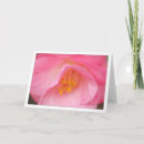 Buscar camelia tarjetas Naturaleza