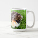 Buscar erizo tazas Hedgehog