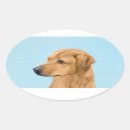 Buscar rhodesian ridgeback pegatinas Paro