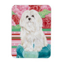 Buscar de malta imanes Cachorro