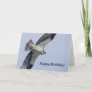 Buscar aves rapaces tarjetas Naturaleza