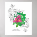 Buscar fucsia posters General y unisex