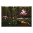 Buscar pétalos fotografía Flores silvestres