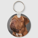 Buscar perros llaveros Para mascotas