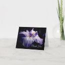 Buscar belleza tarjetas Invitados