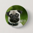 Buscar carlin chapas Headshot