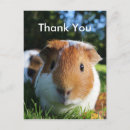 Buscar pigmento tarjetas Adorable