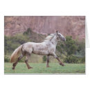 Buscar galope Mustang