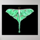 Buscar lunares verdes posters Diversión