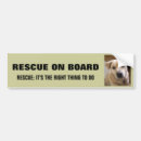 Buscar rescate animal pegatinas parachoque Adopción
