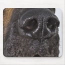 Buscar great dane electronica Parte del cuerpo animal