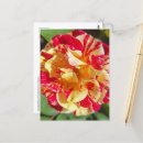 Buscar variados postales Floral