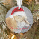 Buscar zorro feliz adornos General y unisex