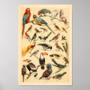 Buscar colecciones posters Ilustracion