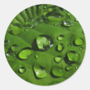 Buscar gotas de lluvia pegatinas Flor